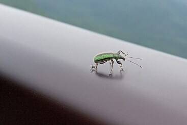 Holiday Plaza Shigakogen