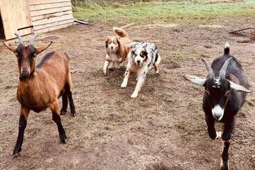 פנסיון Une Pause S Impose