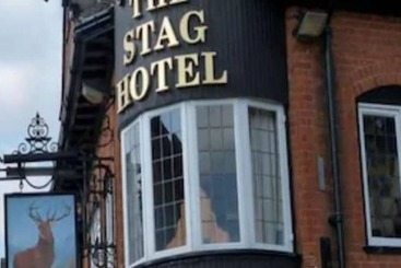 酒店 The Stag