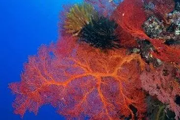 ホテル Intercontinental Lifou Wadra Bay Resort By Ihg