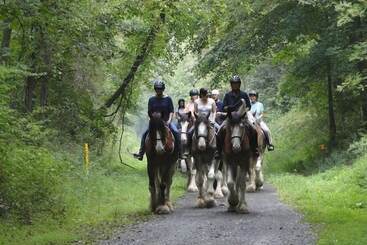 Bed and Breakfast Raritan Inn