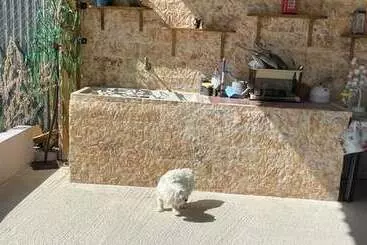 ペンション Eco Studio Flat Kalyvia Thorikou, Greece