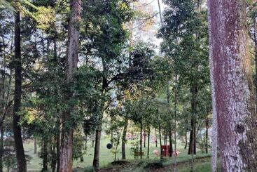 Hotell Tawangmangu Wonder Park