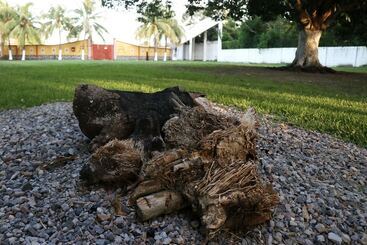 בית מלון כפרי Hf Hacienda San Francisco