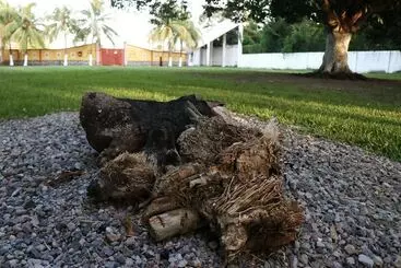 Hotelli Hf Hacienda San Francisco