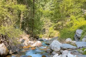 Madpackers Jibhi   Hostel