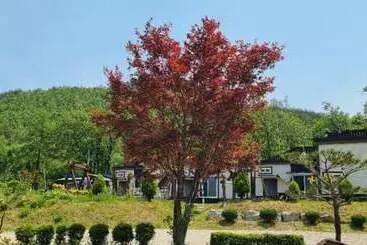 Goseong Wanggok Hue Pension