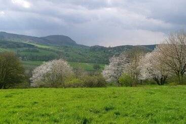קוטג'' Natural Log Cabin In Waltershausen