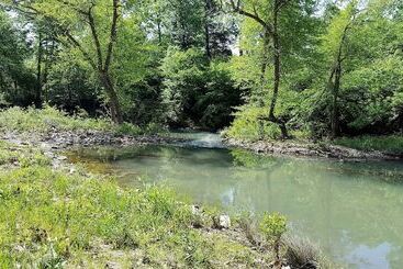 Vidéki Ház Cimarron Secluded Cabin With Fire Pit And Free Firewood By Redawning