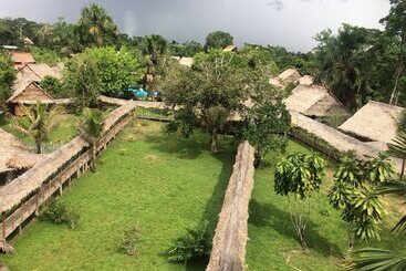 Wild Amazon Experience Eirl