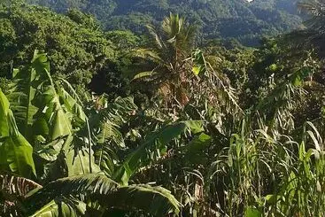 تختخواب و صبحانه Tony & Aldona S Retreat