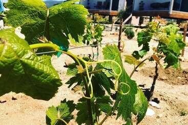 Rincón Del Corazón