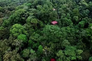 La Loma Jungle Lodge