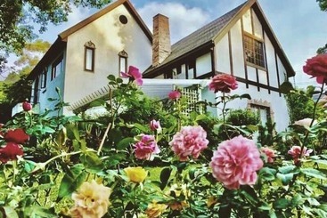 Pension Artvilla Village