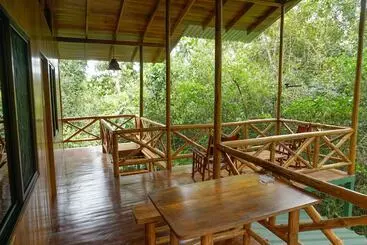 Tree Houses Hotel Costa Rica