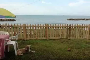 ユースホステル Hostal La Casa De Mamá