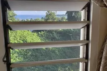 Majatalo Viva Violas