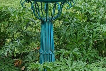 Bed & Breakfast The Buckmaster Inn