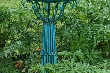 Aamiaismajoitus (B&B) The Buckmaster Inn