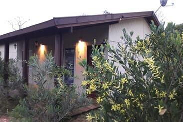 ホテル Cabanas Del Este