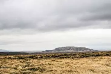 کلبه Gullfoss & Geysir Luxury Cabin