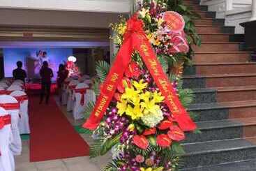 호텔 Dream Vinh Hoa