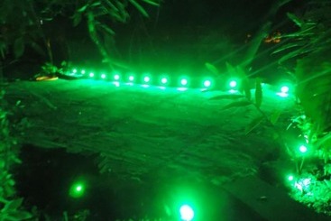 Hotel Pousada Leprechaun