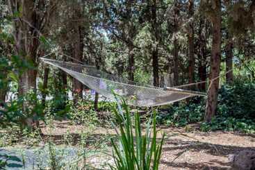 مبيت وإفطار Aley Galil