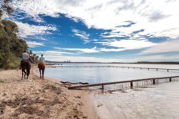 渡假胜地 Big4 Manning Point Holiday Park