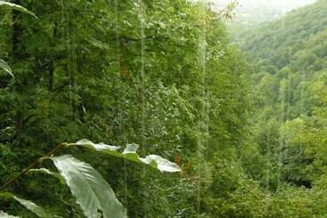 Ugurlubey Butik Dag Oteli