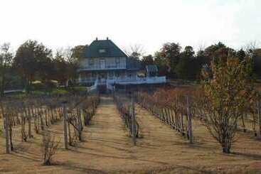 住宿加早餐  Indian Creek Village Winery