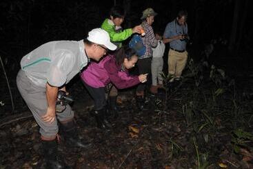 Bilit Adventure Lodge