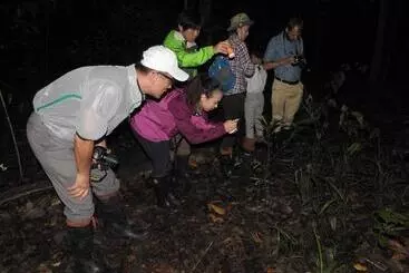 Bilit Adventure Lodge