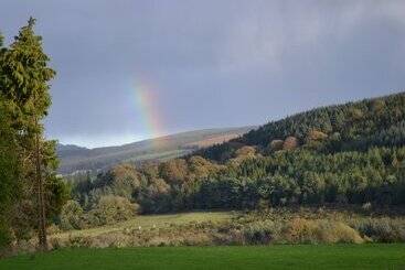 פנסיון Stoops Guesthouse