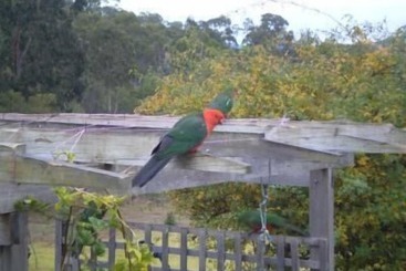 קוטג'' Shanti Relaxation Retreat