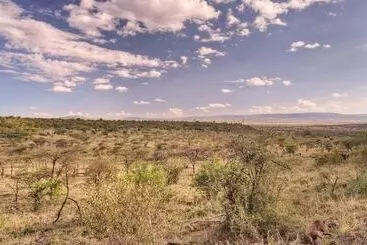 Kicheche Valley Camp