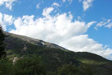 Aparthotel Trædal Hotell