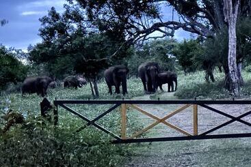 The Wild Farms By Gwestai