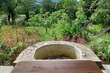 هاستل Dragon S Garden