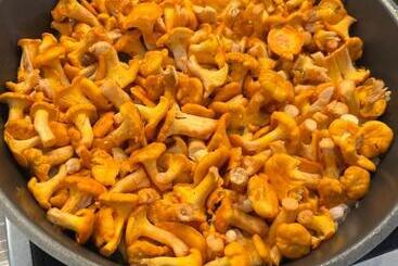 Panzió Penzion U Zemanů Nové Hrady