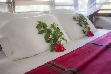 فندق Cotton Tree Lodge