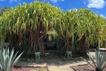 The Happy Coconut Resort