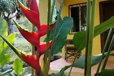 Hotelli Mira Olas Cabins