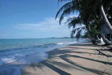 בית מלון כפרי Shady Resort