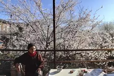 تختخواب و صبحانه Nargizaanta