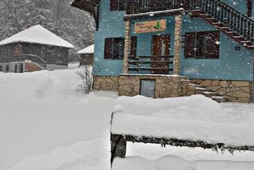 Mystic Forest Hostel