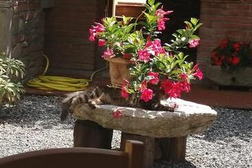 بنسيون La Cascina Di Anna