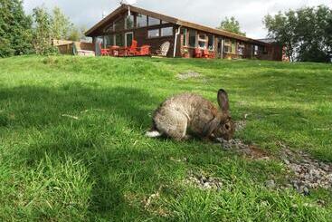 Herberge Geysir Hestar