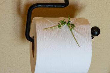 Hotel Impala Cottage