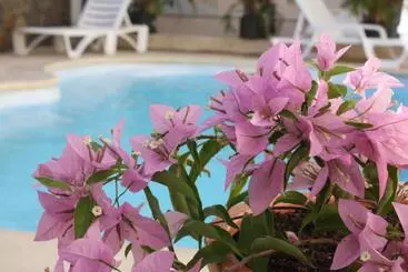 هتل Residence Le Lotus